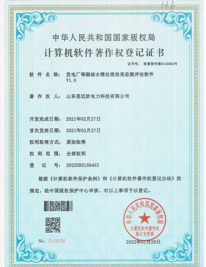 凝结水精处理软件